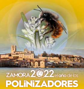 Zamora 2022: el aÃ±o de los polinizadores
