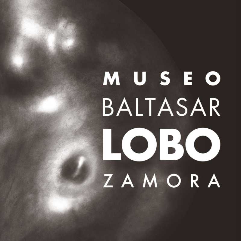 Baltasar Lobo-Museum